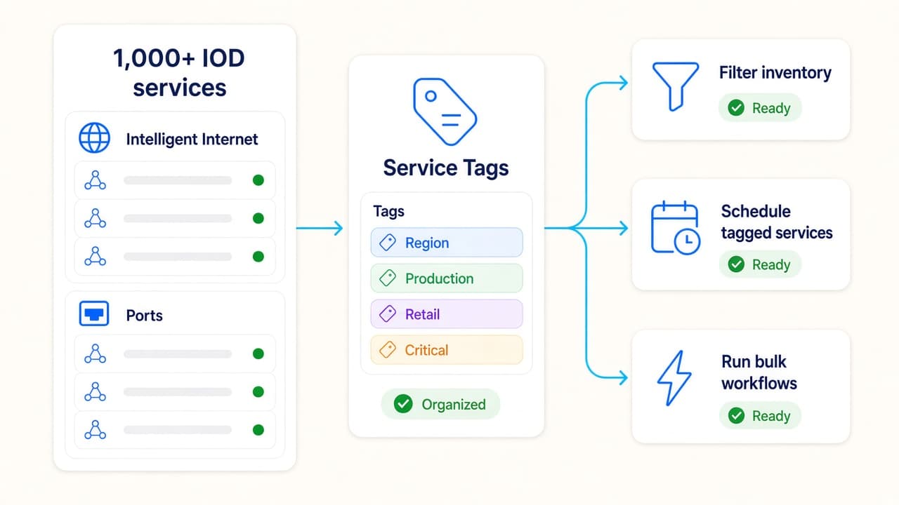 Diagram showing Service Tags organizing one thousand plus Intelligent Internet services into filters schedules and bulk workflows